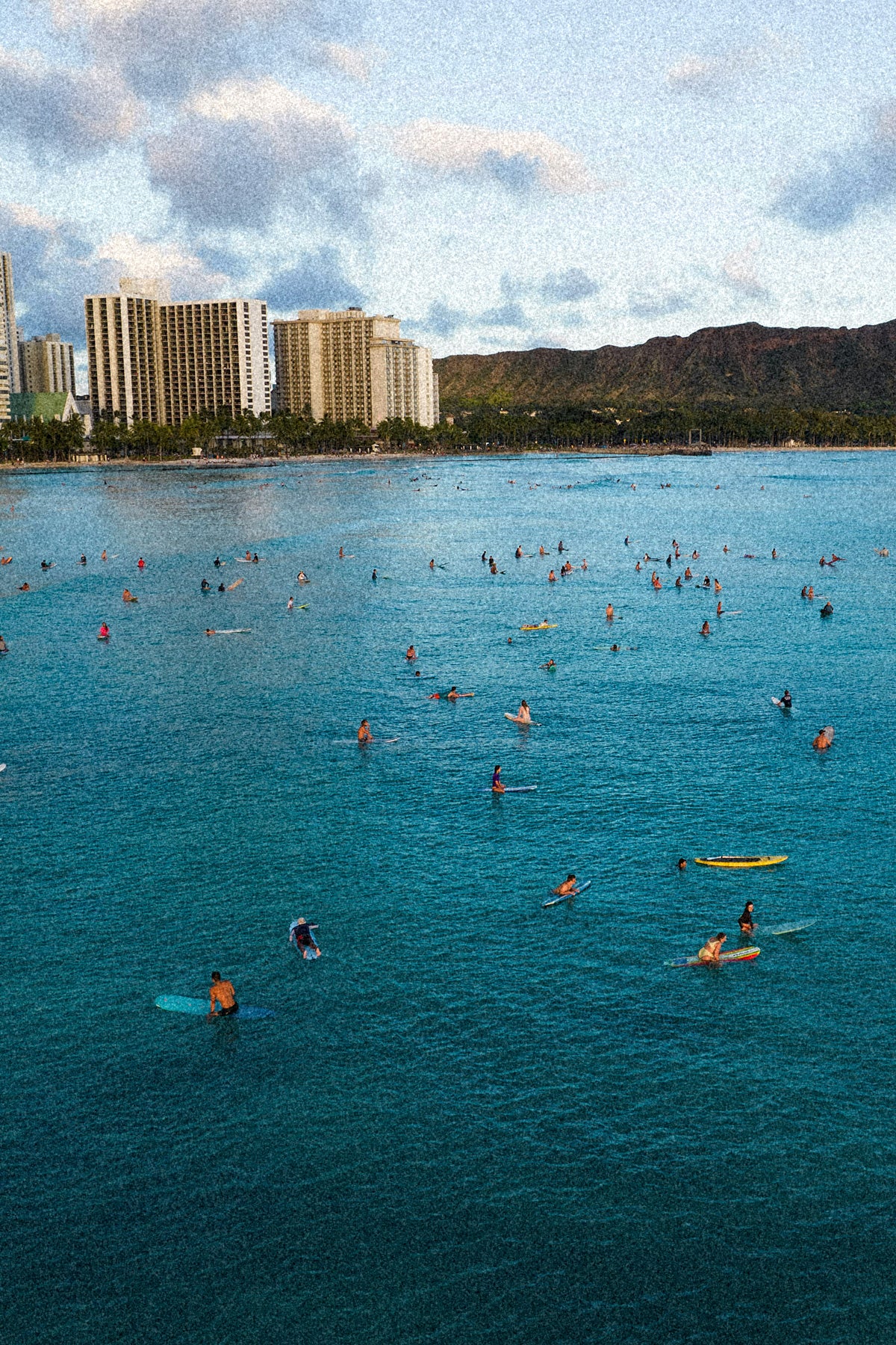 Surf Club - WAIKIKI