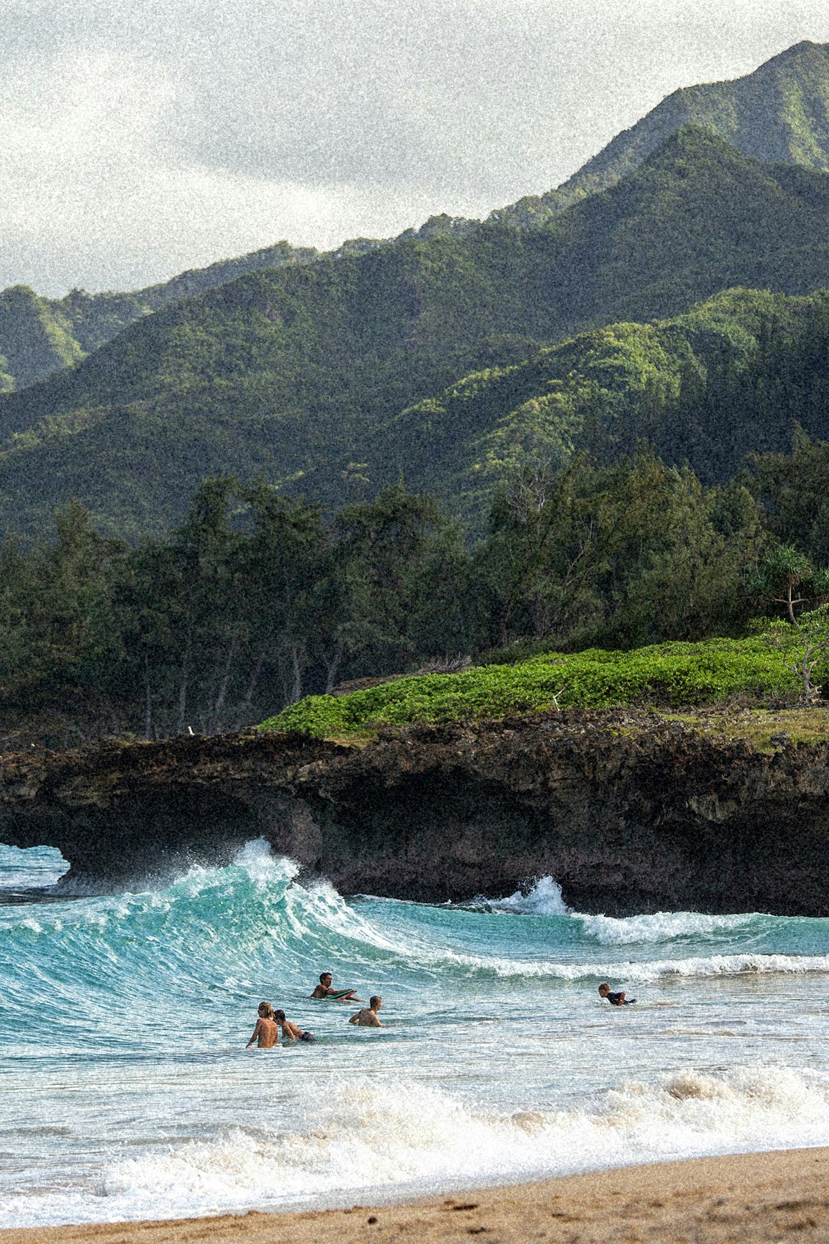 Surf Club - WAIKIKI
