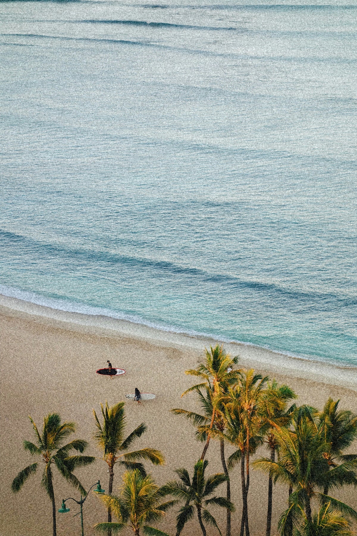 Surf Club - WAIKIKI